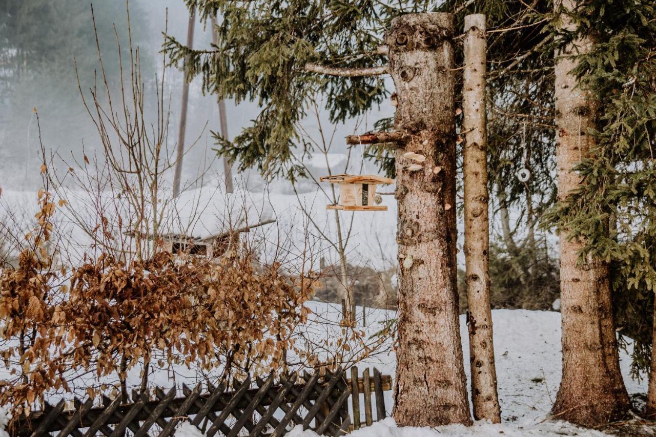Knusperhauschen Sonnegg Villa Flachau Eksteriør bilde